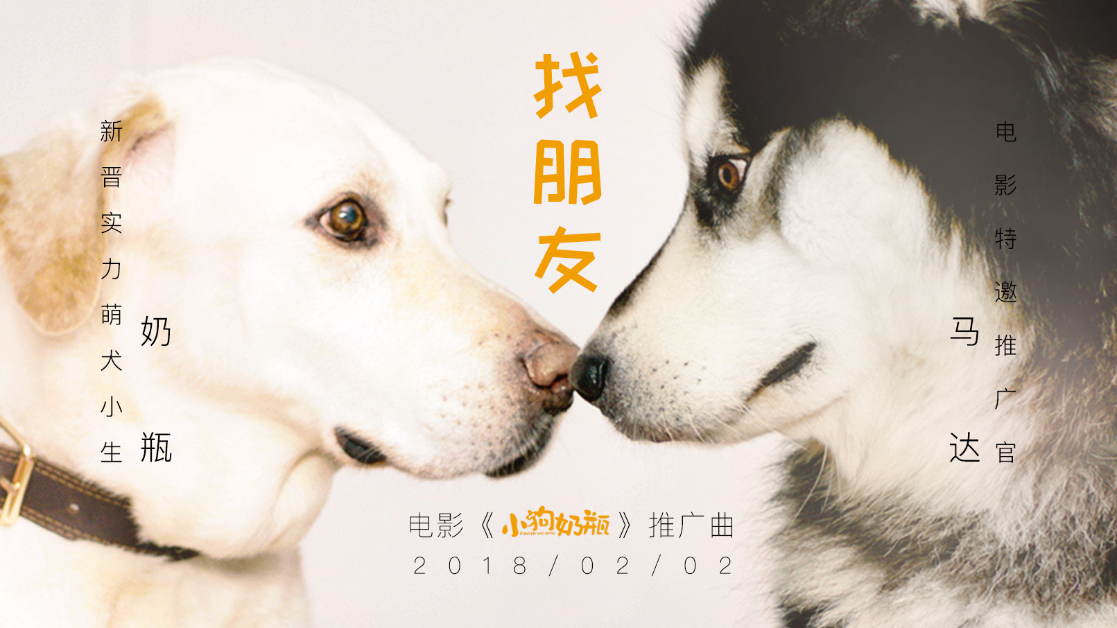 網(wǎng)站焦點(diǎn)圖.jpg